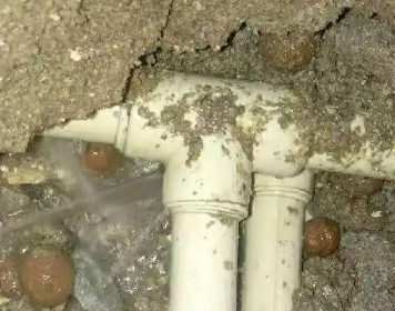 新青测漏水多少钱