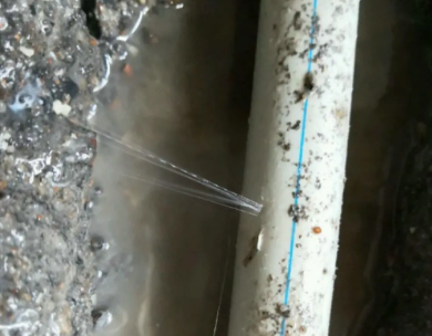 新青测漏水哪家好