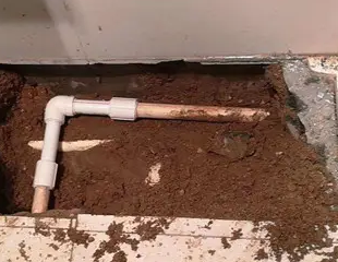 新青测漏水哪家好