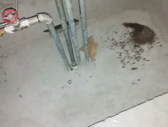 新青卫生间测漏水价格明细