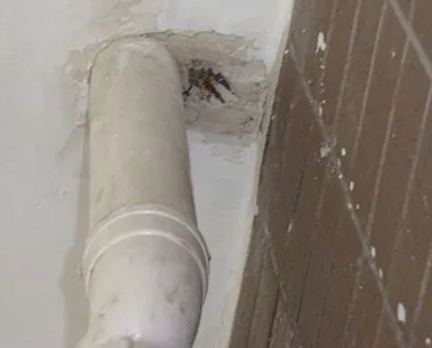 新青漏水检测哪家好